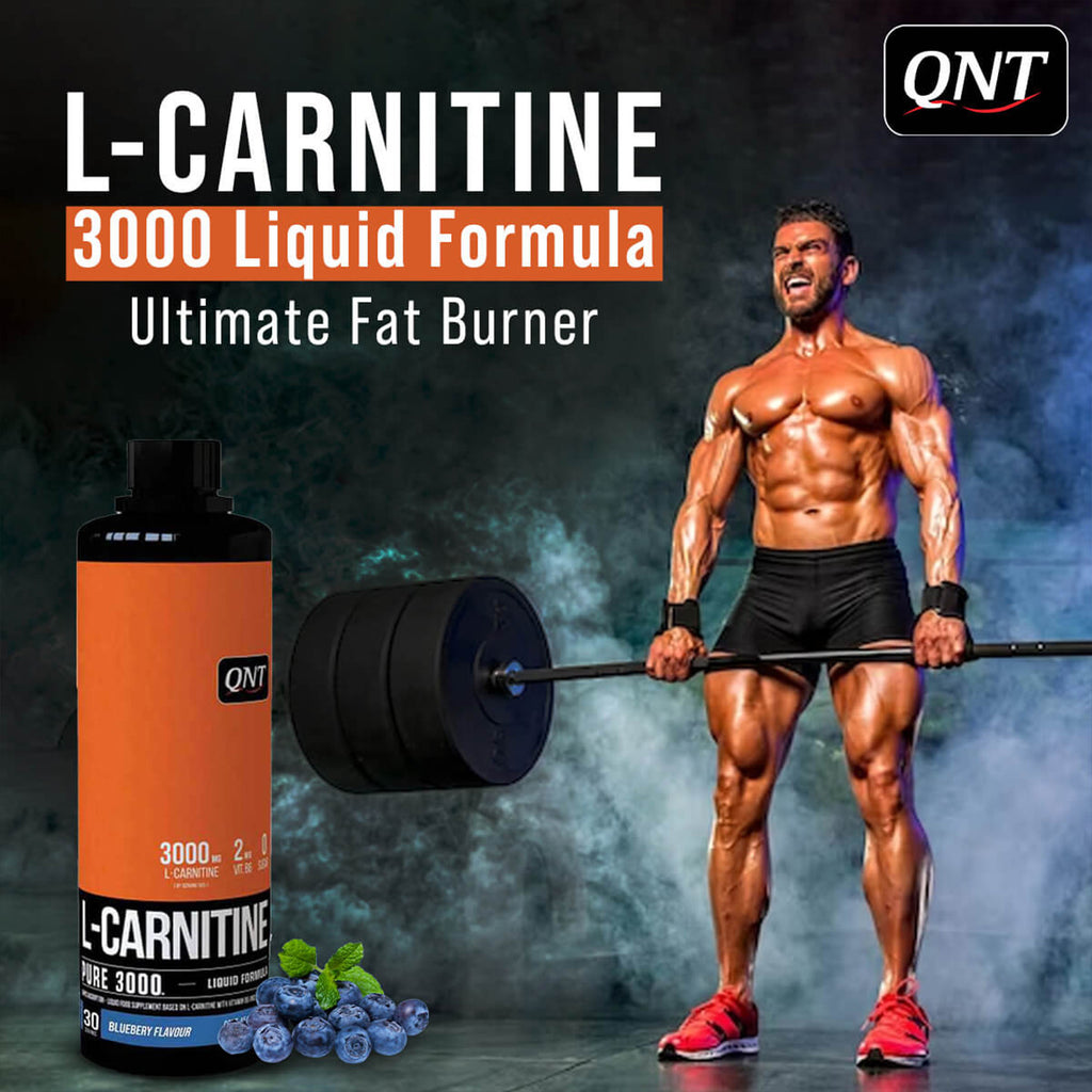 QNT | L-CARNITINE SYRUP | 450ML