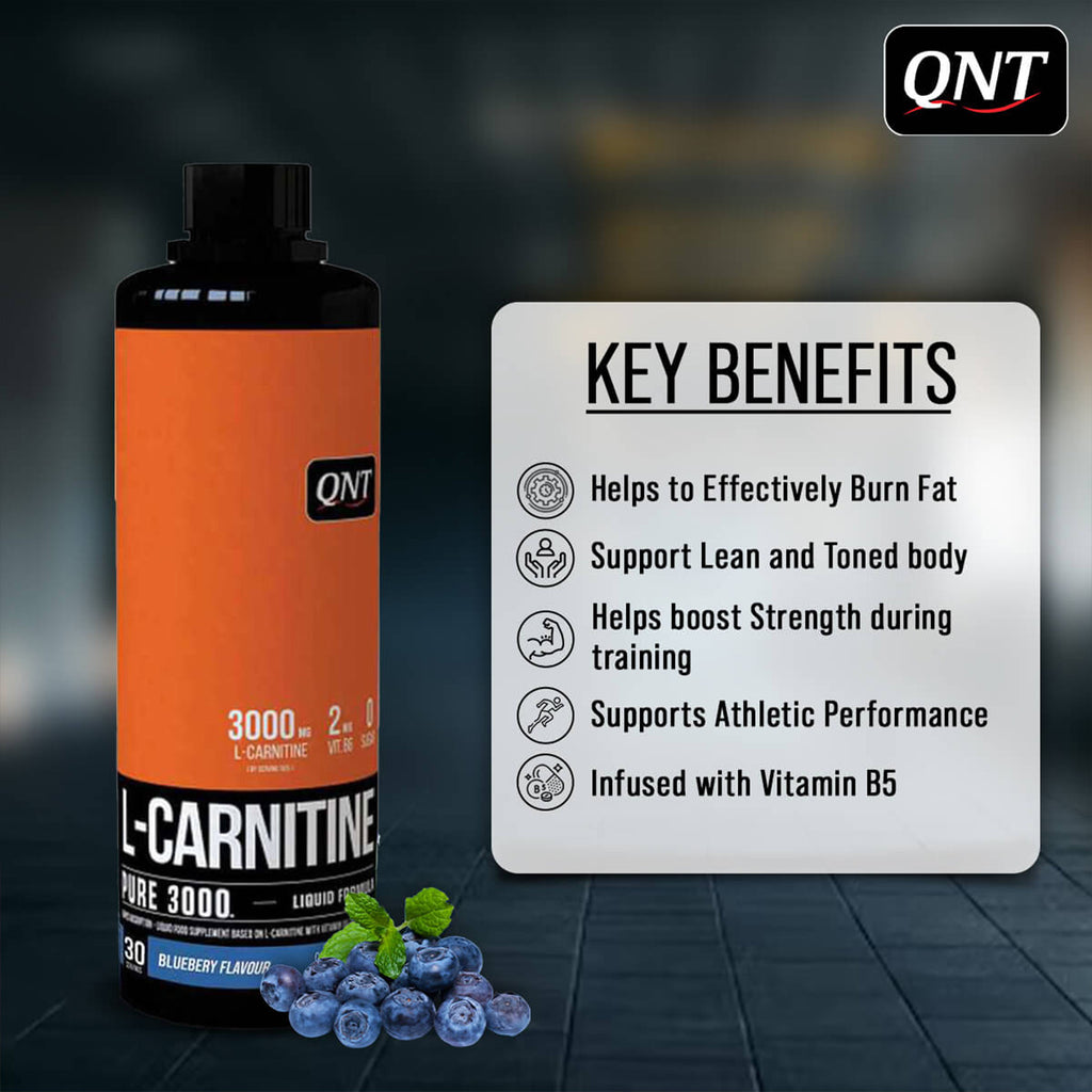 QNT | L-CARNITINE SYRUP | 450ML