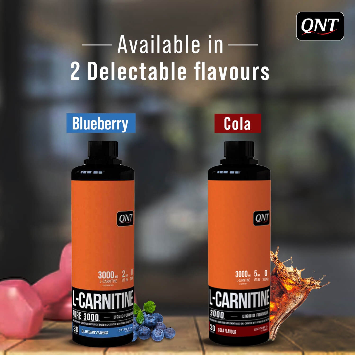 QNT | L-CARNITINE SYRUP | 450ML