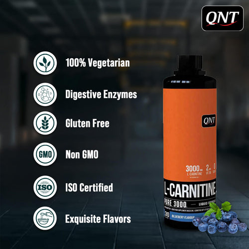 QNT | L-CARNITINE SYRUP | 450ML
