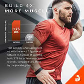 MuscleTech Vapor X5, 270 g (0.59 lb), Fruit Punch