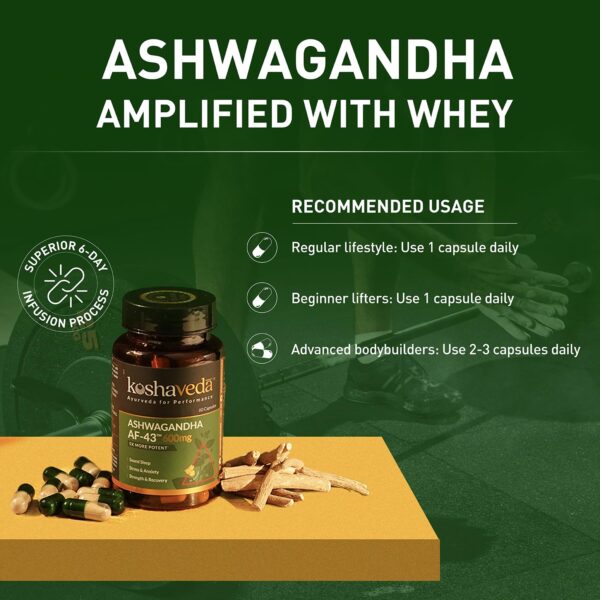 Koshaveda Ashwagandha AF-43™ 600mg by MuscleBlaze | 60 Capsules | - Image 7