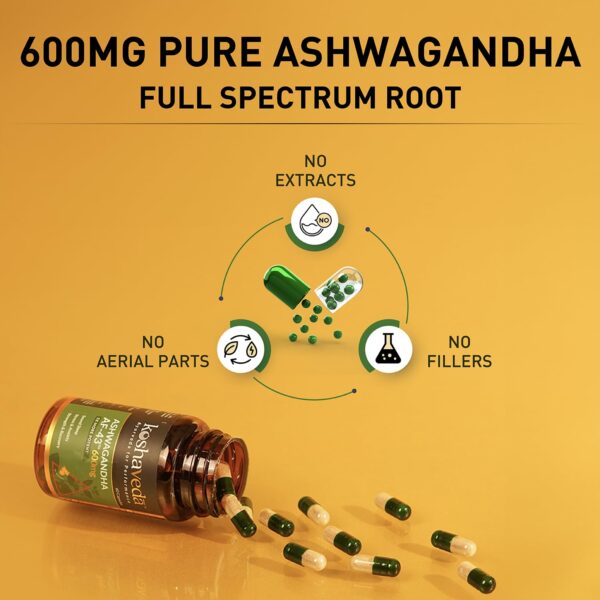 Koshaveda Ashwagandha AF-43™ 600mg by MuscleBlaze | 60 Capsules | - Image 6