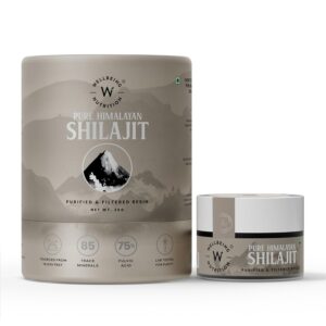 Wellbeing Nutrition Pure & Natural Himalayan Shilajit Original Resin 20g for Strength